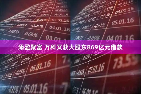 添盈聚富 万科又获大股东869亿元借款