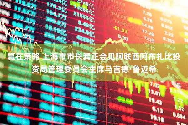 赢在策略 上海市市长龚正会见阿联酋阿布扎比投资局管理委员会主席马吉德·鲁迈希